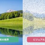 【図解】ビジュアルスノウとは？見え方や原因、診断基準などを徹底解説